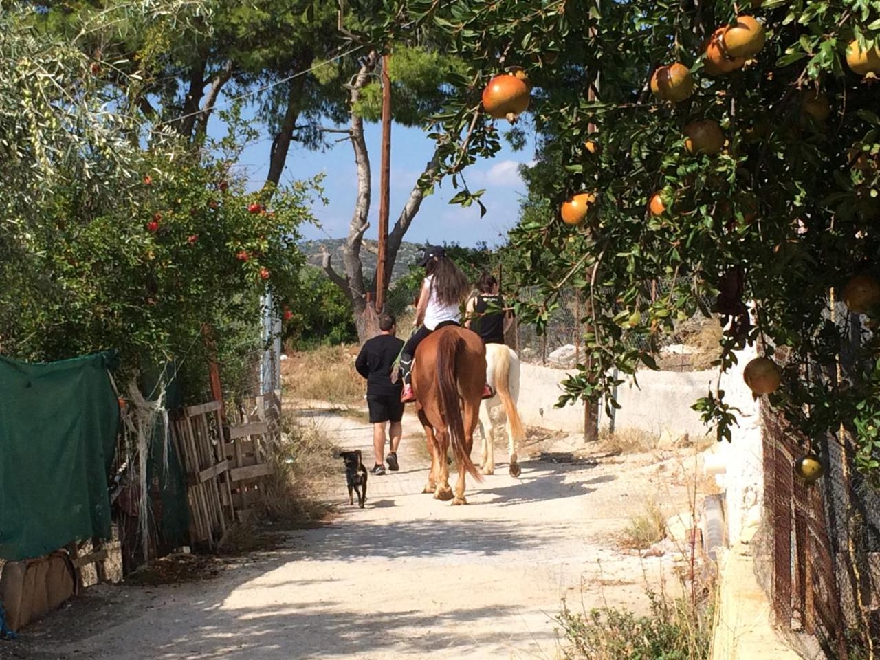 Perivoli Country Hotel & Retreat Nafplio Eksteriør billede