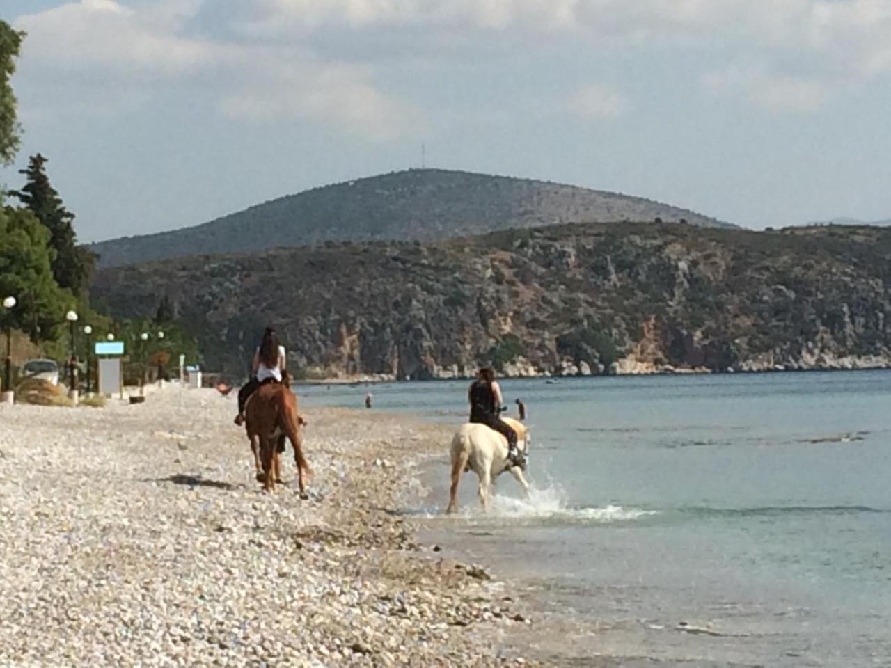 Perivoli Country Hotel & Retreat Nafplio Eksteriør billede
